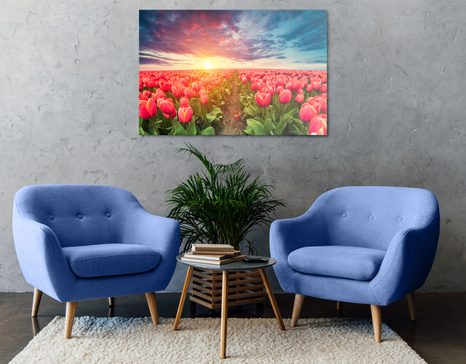 WANDBILD SONNENAUFGANG ÜBER DER WIESE MIT TULPEN - BILDER BLUMEN - BILDER