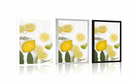 POSTER MISCHUNG AUS ZITRUSFRÜCHTEN - MIT KÜCHENMOTIV - POSTER