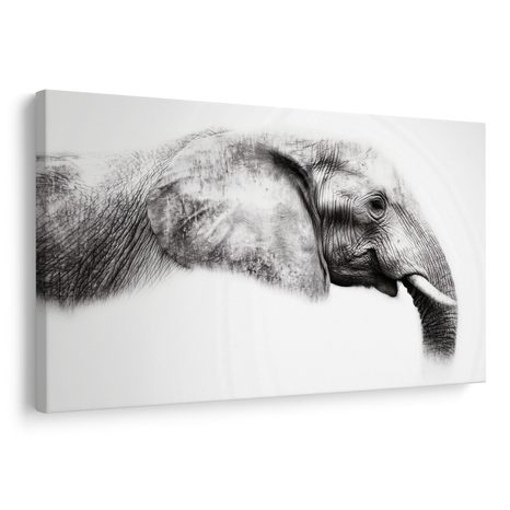 OBRAZ ELEGANTNÍ SLONÍ PROFIL - OBRAZY SLONI - OBRAZY