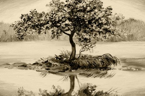 STAMPA SU TELA – CILIEGIO ORIENTALE IN VERSIONE SEPPIA - QUADRI BIANCO E NERO - STAMPE E QUADRI