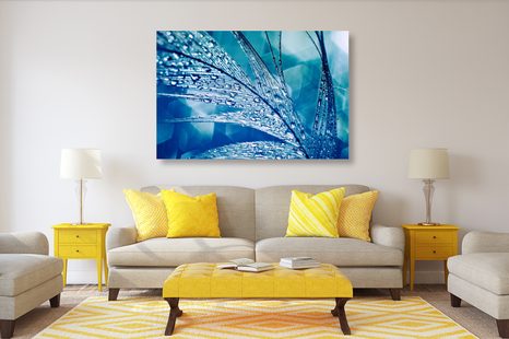 WANDBILD MORGENTAUTROPFEN - STILLLEBEN-BILDER - BILDER