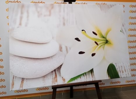 QUADRO SU TELA – GIGLIO E PIETRE DA MASSAGGIO IN BIANCO - QUADRI FENG SHUI - STAMPE E QUADRI