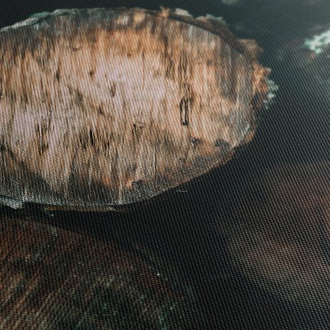 QUADRO SU TELA – TEXTURE NATURALE DEL LEGNO - QUADRI ALBERI E FOGLIE - STAMPE E QUADRI