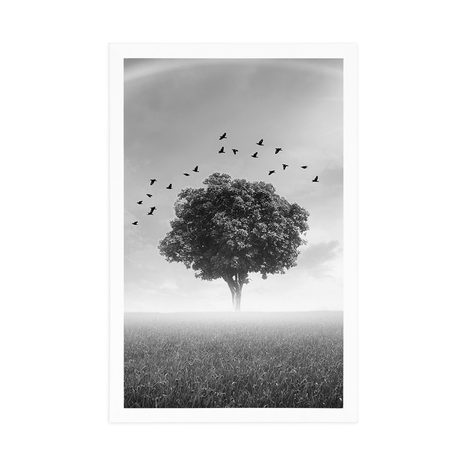 POSTER – ALBERO SOLITARIO SUL PRATO IN BIANCO E NERO - NERO E BIANCO - POSTER