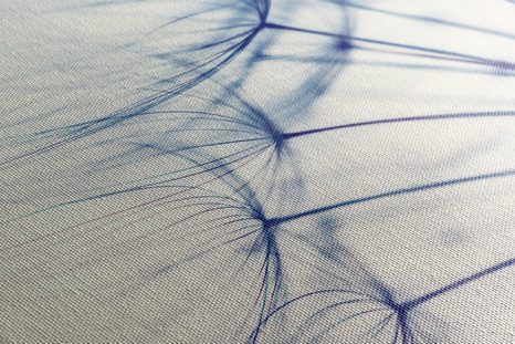 OBRAZ PAMPELIŠKA V JEDINEČNÉM PROVEDENÍ - OBRAZY KVĚTŮ - OBRAZY