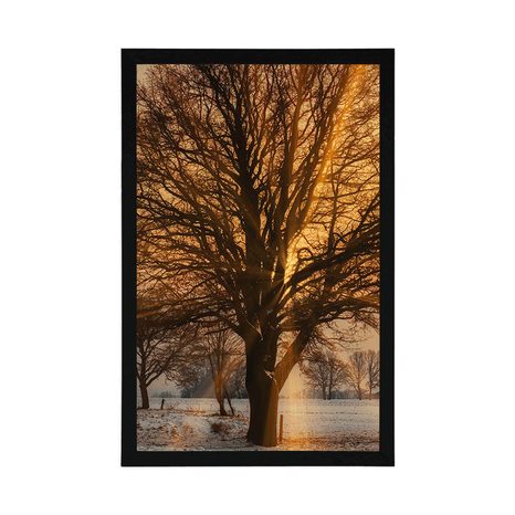 PLAKÁT STROM V ZASNĚŽENÉ KRAJINĚ - PŘÍRODA - PLAKÁTY