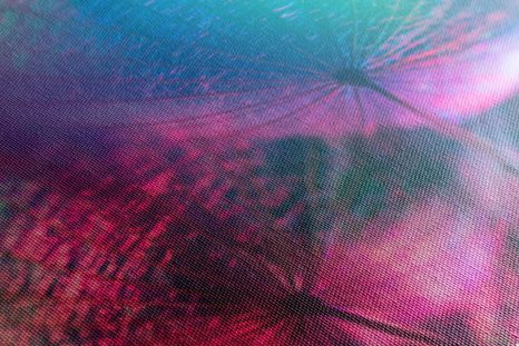 КАРТИНА НА ПЛАТНО – ГЛУХАРЧЕ В ПАСТЕЛНИ ЦВЕТОВЕ - КАРТИНИ С ЦВЕТЯ - КАРТИНИ