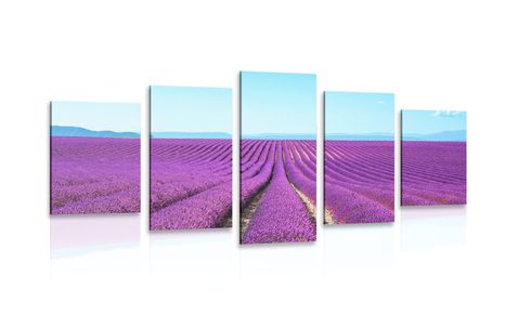 5-PIECE CANVAS PRINT ENDLESS LAVENDER FIELD - PICTURES OF NATURE AND LANDSCAPE - PICTURES