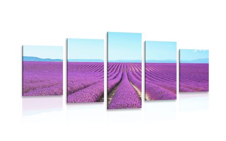 QUADRO IN 5 PARTI CAMPO DI LAVANDA INFINITO - QUADRI DI NATURA E PAESAGGIO - QUADRI