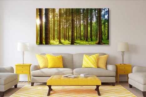 REGGEL AZ ERDŐBEN - TERMÉSZET- ÉS TÁJKÉPEK - KÉPEK