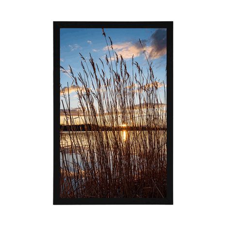 POSTER CALM RIVER NEAR THE VILLAGE - NATURE - POSTERS