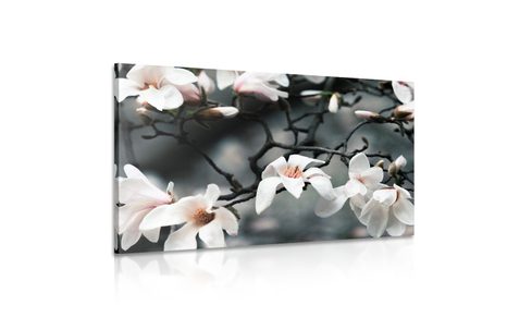 ΕΙΚΌΝΑ ΜΙΑΣ ΞΎΠΝΙΑΣ ΜΑΝΌΛΙΑΣ - ΠΊΝΑΚΕΣ ΑΠΌ ΛΟΥΛΟΎΔΙΑ - ΠΊΝΑΚΕΣ