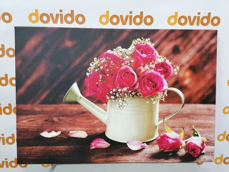 SLIKA ROŽE V KANGLICI - SLIKE TIHOŽITJE - SLIKE