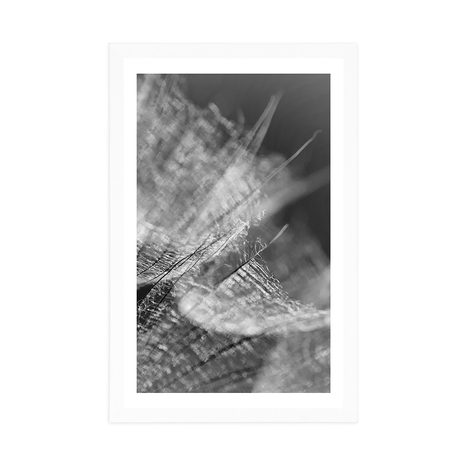 POSTER WITH MOUNT BLACK AND WHITE MACRO DANDELION ON THE BACKGROUND - BLACK AND WHITE - POSTERS