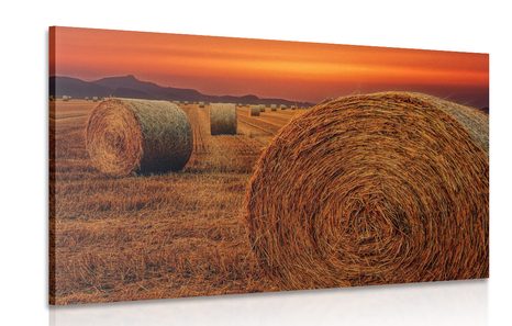 CANVAS PRINT HAY BALES - PICTURES OF NATURE AND LANDSCAPE - PICTURES