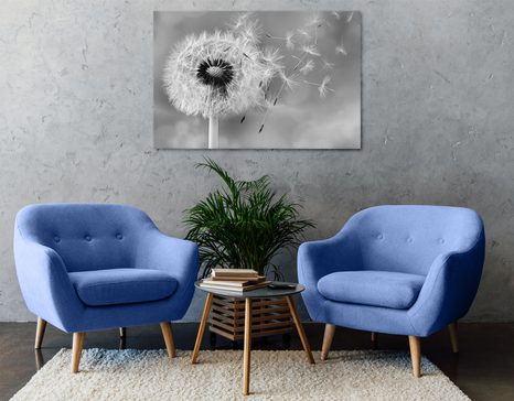 WANDBILD BEZAUBERNDER LÖWENZAHN IN SCHWARZ-WEISS - SCHWARZ-WEISSE BILDER - BILDER