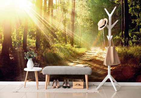 FOTOTAPETA SLUNEČNÍ PAPRSKY V LESE - TAPETY - TOTÁLNÍ VÝPRODEJ 🔥