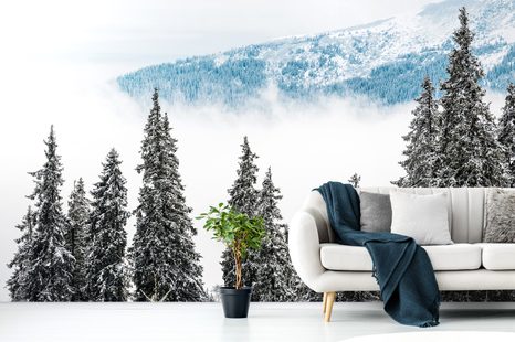 SAMOLEPÍCÍ FOTOTAPETA ZASNĚŽENÉ BOROVÉ STROMY - SAMOLEPÍCÍ TAPETY - TAPETY
