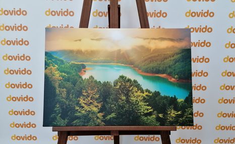 КАРТИНА НА ПЛАТНО – РЕКА В ЗЕЛЕНА ГОРА - КАРТИНИ НА ПРИРОДАТА И ПЕЙЗАЖИ - КАРТИНИ