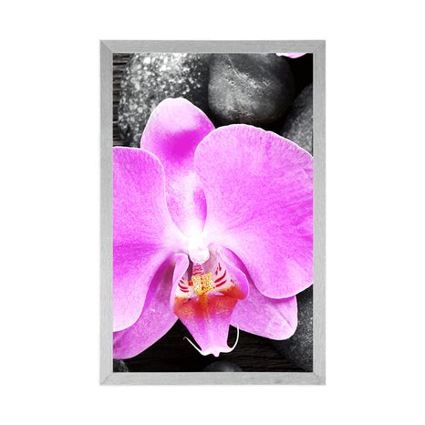 PLAGÁT NÁDHERNÁ ORCHIDEA A KAMENE - FENG SHUI - PLAGÁTY