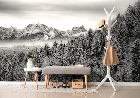 FOTOTAPETA ČERNOBÍLÉ ZMRZLÉ HORY - ČERNOBÍLÉ TAPETY - TAPETY