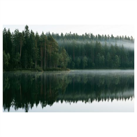 CANVASTAVLA DIMMIG SJÖ I SKOGEN - TAVLOR MED SJÖAR - TAVLOR