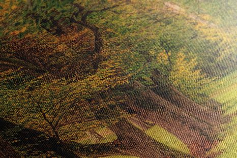 OBRAZ CHODNÍK PODZIMNÍM LESEM - OBRAZY PŘÍRODY A KRAJINY - OBRAZY