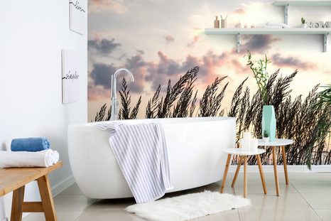 WALL MURAL GRASS AT SUNSET - WALLPAPERS NATURE - WALLPAPERS