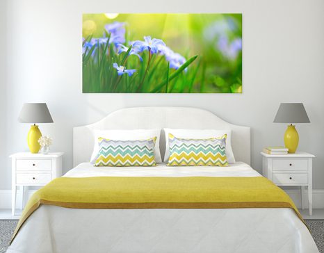 OBRAZ KWIATY NA ŁĄCE WIOSNĄ - OBRAZY KWIATÓW - OBRAZY