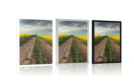 PLAKAT ZALAZAK SUNCA NAD POLJEM U SLOVAČKOJ - PRIRODA - PLAKATI