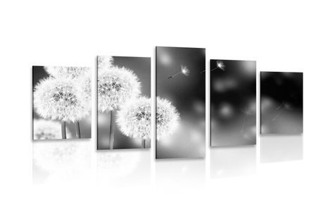 5-PIECE CANVAS PRINT FLUFFY DANDELION IN BLACK AND WHITE - BLACK AND WHITE PICTURES - PICTURES