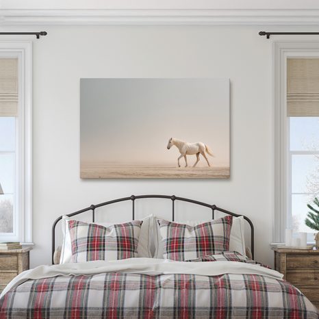 OBRAZ BÍLÝ KŮŇ V POUŠTI - OBRAZY KONĚ - OBRAZY