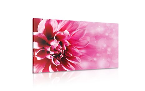 КАРТИНА НА ПЛАТНО – РОЗОВ ЦВЯТ - КАРТИНИ С ЦВЕТЯ - КАРТИНИ