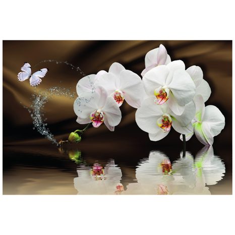 TAPETA ORCHIDEJ A MOTÝL - TAPETY KVĚTINY - TAPETY