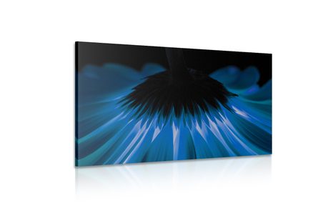 КАРТИНА НА ПЛАТНО – СИНЯ ГЕРБЕРА НА ТЪМЕН ФОН - КАРТИНИ С ЦВЕТЯ - КАРТИНИ