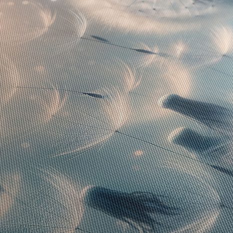 OBRAZ KOUZLO ROZVÍŘENÝCH SEMEN - OBRAZY PAMPELIŠKA - OBRAZY