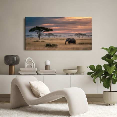 OBRAZ SLON NA SAVANĚ PŘI ZÁPADU - OBRAZY SLONI - OBRAZY