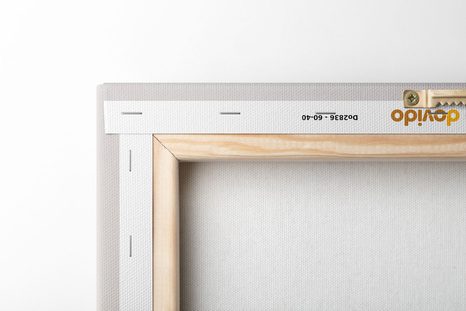 STAMPA SU TELA – PETALI BIANCHI - STAMPE E QUADRI - 🔥 SVENDITA TOTALE