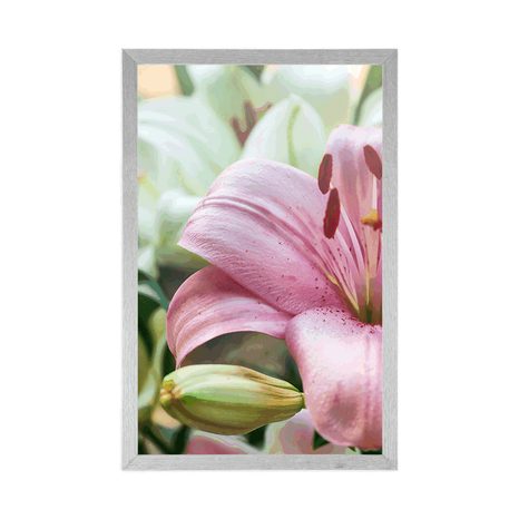 PLAKÁT RŮŽOVÁ LILIE V ROZKVĚTU - KVĚTINY - PLAKÁTY