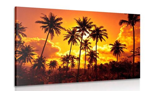 CANVAS PRINT OF COCONUT PALMS ON THE BEACH - PICTURES OF NATURE AND LANDSCAPE - PICTURES