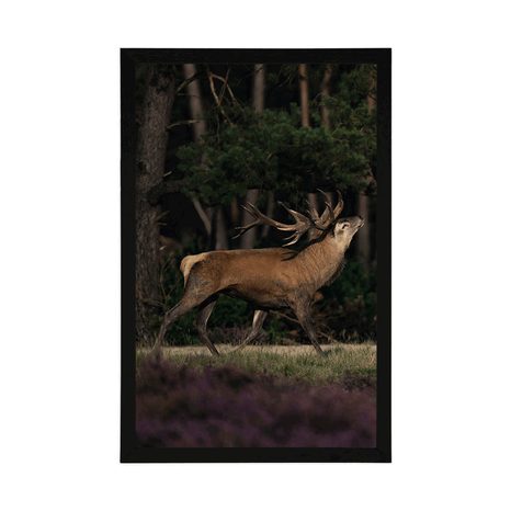 PLAGÁT MAJESTÁTNY JELEŇ - ZVIERATÁ - PLAGÁTY