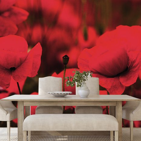 SELF ADHESIVE WALL MURAL FIELD OF WILD POPPIES - SELF-ADHESIVE WALLPAPERS - WALLPAPERS