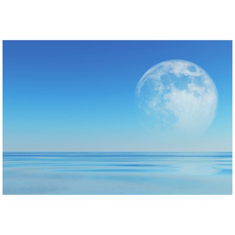 SELBSTKLEBENDE TAPETE MOND ÜBER DEM MEER - SELBSTKLEBENDE TAPETEN - TAPETEN