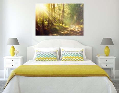 CANVAS SCHILDERIJ ZONNESTRALEN IN HET BOS - SCHILDERIJEN - MEGA UITVERKOOP TOT 70% 🔥