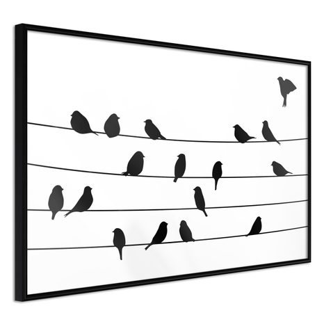 POSTER - BIRDS COUNCIL MEETING - ANIMALE - POSTERE