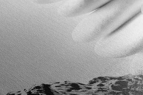 TABLEAU SUR TOILE – PIERRES ZEN AVEC COQUILLAGES EN NOIR ET BLANC - TABLEAUX EN NOIR ET BLANC - TABLEAUX