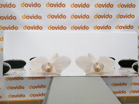 SLIKA BELI CVETOVI ORHIDEJE - SLIKE FENG SHUI - SLIKE