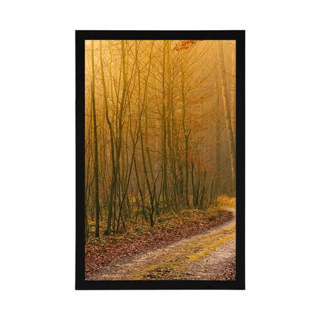 PLAKÁT CESTIČKA DO LESA - PŘÍRODA - PLAKÁTY