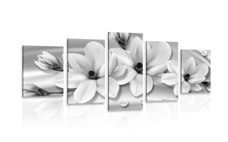 5-PIECE CANVAS PRINT LUXURIOUS MAGNOLIA WITH PEARLS IN BLACK AND WHITE DESIGN - BLACK AND WHITE PICTURES - PICTURES