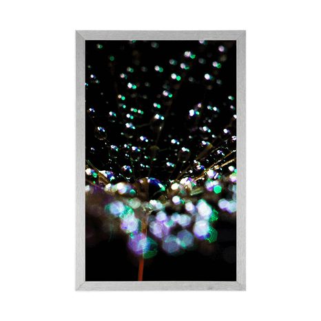 POSTER WASSERTROPFEN AUF DEM LÖWENZAHN - BLUMEN - POSTER